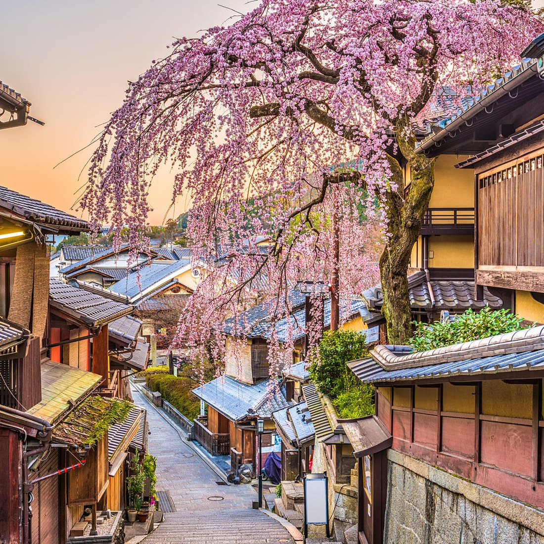 Kyoto